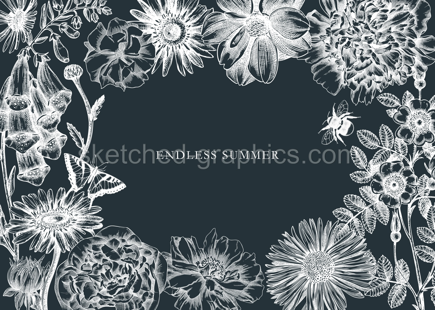 Summer flowers frame on chalkboard. Hand-sketched garden plants in vintage style. Perfect for greeting cards, banners, invitation. Vector botanical illustration with flower outlines. Illustration